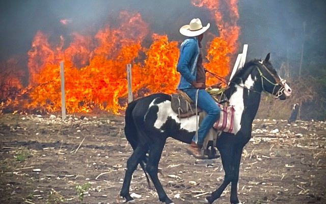 Chiapas  © Jean-Pierre Guillerez