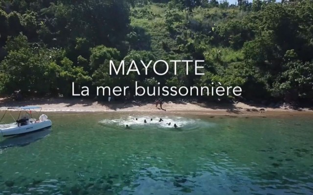 Mayotte, skiving school at sea
