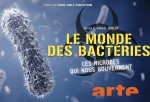 Poster of Bacterial world - microbes that rule our world